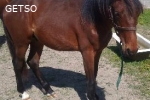 Vends OXYMORE BAINDOR